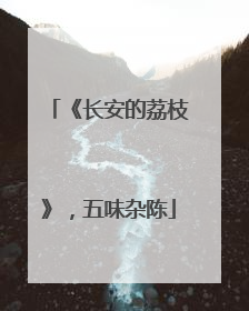 《长安的荔枝》，五味杂陈