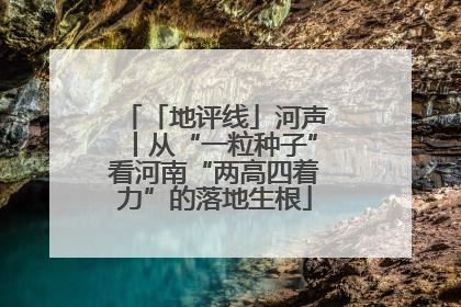 「地评线」河声丨从“一粒种子”看河南“两高四着力”的落地生根