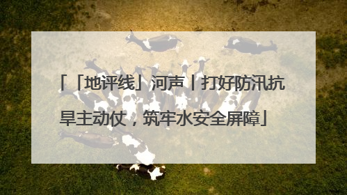「地评线」河声丨打好防汛抗旱主动仗，筑牢水安全屏障
