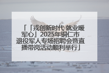 「戎创新时代·就业暖军心」2025年铜仁市退役军人专场招聘会暨直播带岗活动顺利举行