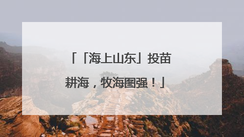 「海上山东」投苗耕海，牧海图强！