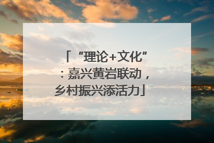 “理论+文化”：嘉兴黄岩联动，乡村振兴添活力