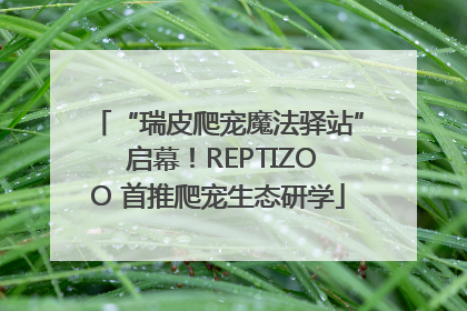 “瑞皮爬宠魔法驿站” 启幕！REPTIZOO 首推爬宠生态研学