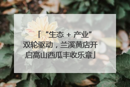 “生态 + 产业”双轮驱动，兰溪黄店开启高山西瓜丰收乐章