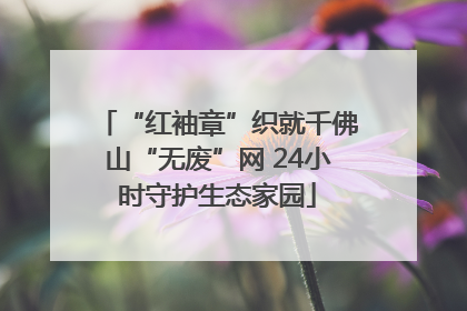 “红袖章”织就千佛山“无废”网 24小时守护生态家园