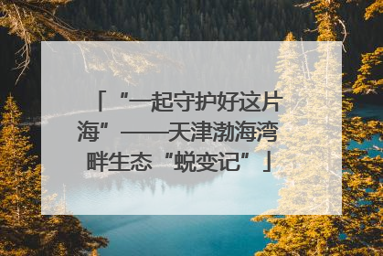 “一起守护好这片海”——天津渤海湾畔生态“蜕变记”