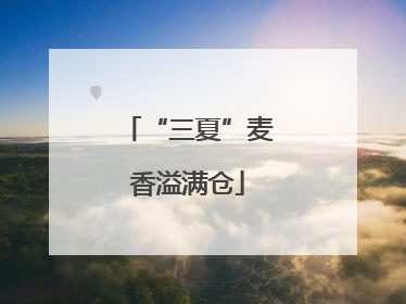 “三夏”麦香溢满仓