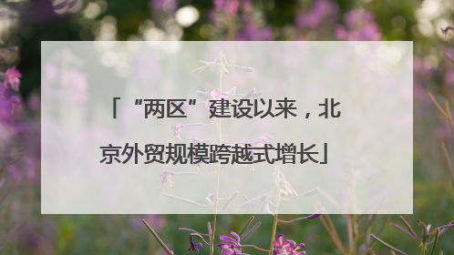 “两区”建设以来，北京外贸规模跨越式增长