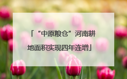 “中原粮仓”河南耕地面积实现四年连增