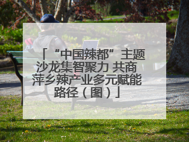 “中国辣都”主题沙龙集智聚力 共商萍乡辣产业多元赋能路径（图）