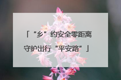 “乡”约安全零距离 守护出行“平安路”