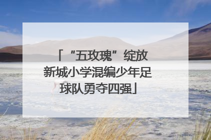 “五玫瑰”绽放 新城小学混编少年足球队勇夺四强