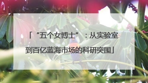 “五个女博士”：从实验室到百亿蓝海市场的科研突围