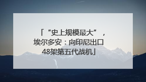 “史上规模最大”，埃尔多安：向印尼出口48架第五代战机