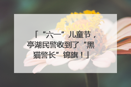 “六一”儿童节，亭湖民警收到了“黑猫警长”锦旗！