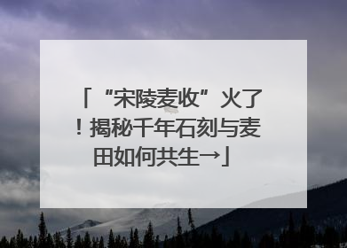 “宋陵麦收”火了！揭秘千年石刻与麦田如何共生→