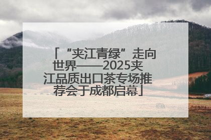 “夹江青绿”走向世界——2025夹江品质出口茶专场推荐会于成都启幕