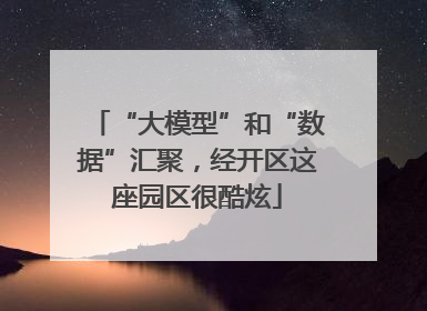 “大模型”和“数据”汇聚，经开区这座园区很酷炫