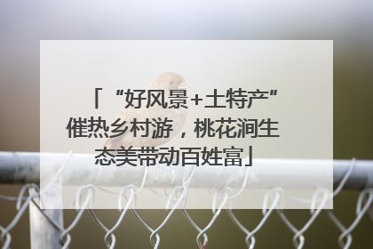 “好风景+土特产”催热乡村游，桃花涧生态美带动百姓富