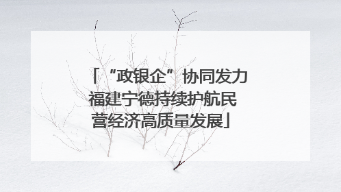 “政银企”协同发力 福建宁德持续护航民营经济高质量发展