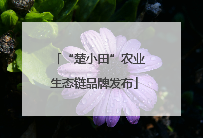 “楚小田”农业生态链品牌发布