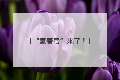 “氢春号”来了！