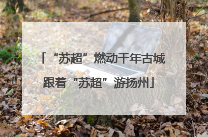 “苏超”燃动千年古城 跟着“苏超”游扬州