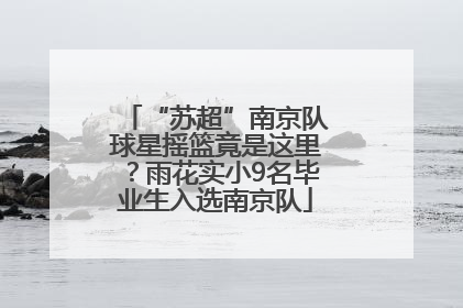 “苏超”南京队球星摇篮竟是这里？雨花实小9名毕业生入选南京队