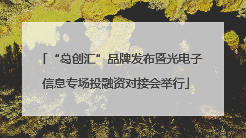 “葛创汇”品牌发布暨光电子信息专场投融资对接会举行