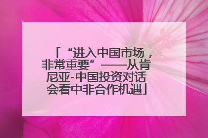 “进入中国市场，非常重要”——从肯尼亚-中国投资对话会看中非合作机遇