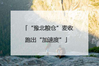 “豫北粮仓”麦收跑出“加速度”