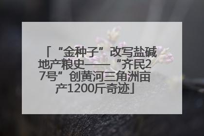 “金种子”改写盐碱地产粮史——“齐民27号”创黄河三角洲亩产1200斤奇迹