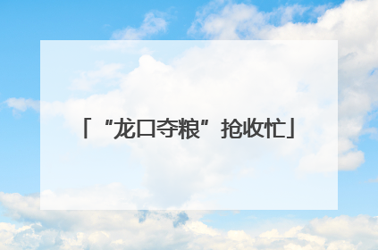 “龙口夺粮”抢收忙