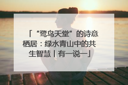 “鹭鸟天堂”的诗意栖居：绿水青山中的共生智慧丨有一说一