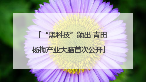“黑科技”频出 青田杨梅产业大脑首次公开