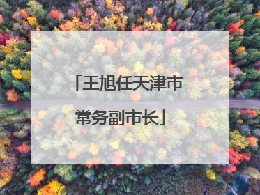 王旭任天津市常务副市长