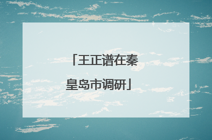 王正谱在秦皇岛市调研