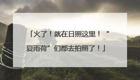 火了！就在日照这里！“夏雨荷”们都去拍照了！
