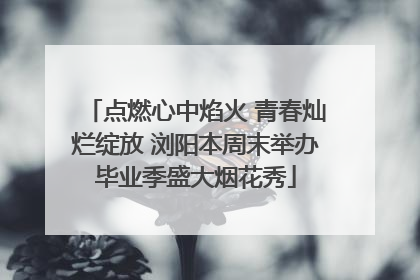 点燃心中焰火 青春灿烂绽放 浏阳本周末举办毕业季盛大烟花秀