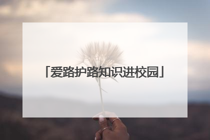 爱路护路知识进校园