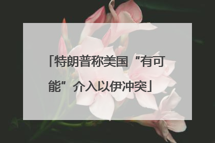 特朗普称美国“有可能”介入以伊冲突
