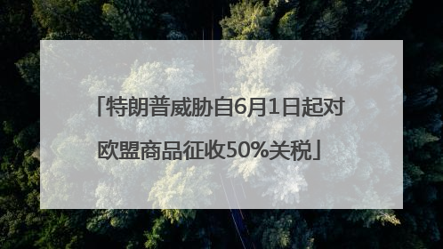 特朗普威胁自6月1日起对欧盟商品征收50%关税