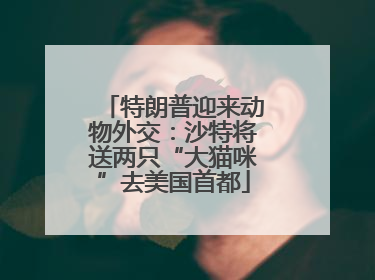 特朗普迎来动物外交：沙特将送两只“大猫咪”去美国首都