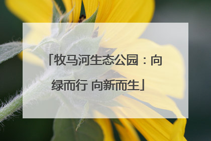 牧马河生态公园：向绿而行 向新而生