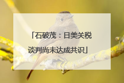石破茂：日美关税谈判尚未达成共识