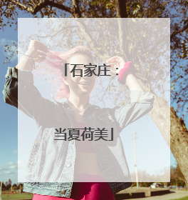 石家庄：当夏荷美