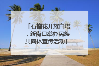 石榴花开耀白塔，新街口举办民族共同体宣传活动