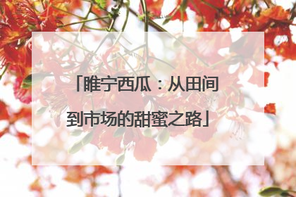 睢宁西瓜：从田间到市场的甜蜜之路