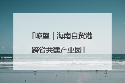 瞭望｜海南自贸港跨省共建产业园