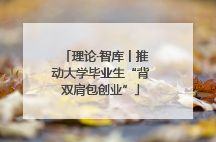 理论·智库丨推动大学毕业生“背双肩包创业”